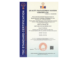 质量管理认证证书-英文